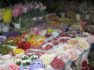 保证新鲜 每周订花 下脚料鲜花 花店剩花 多品种随机有惊喜有运