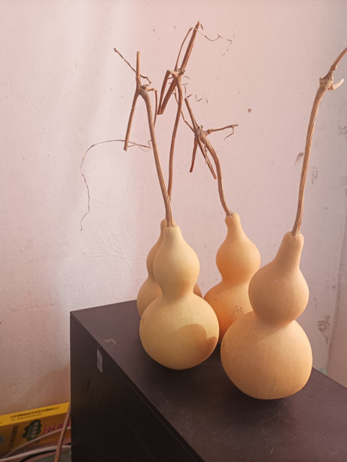 天然葫芦挂件带龙须 龙头有籽 葫芦摆件家居饰品大葫芦文玩葫芦