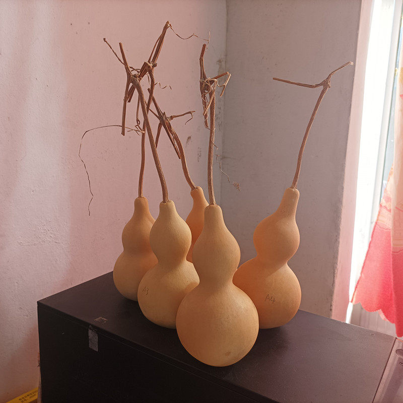 天然葫芦挂件带龙须 龙头有籽 葫芦摆件家居饰品大葫芦文玩葫芦