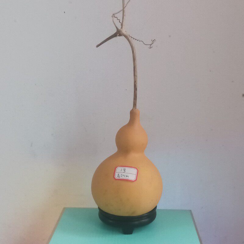 天然葫芦带龙头带龙须摆件客厅玄关平安大号文玩葫芦真葫芦龙头