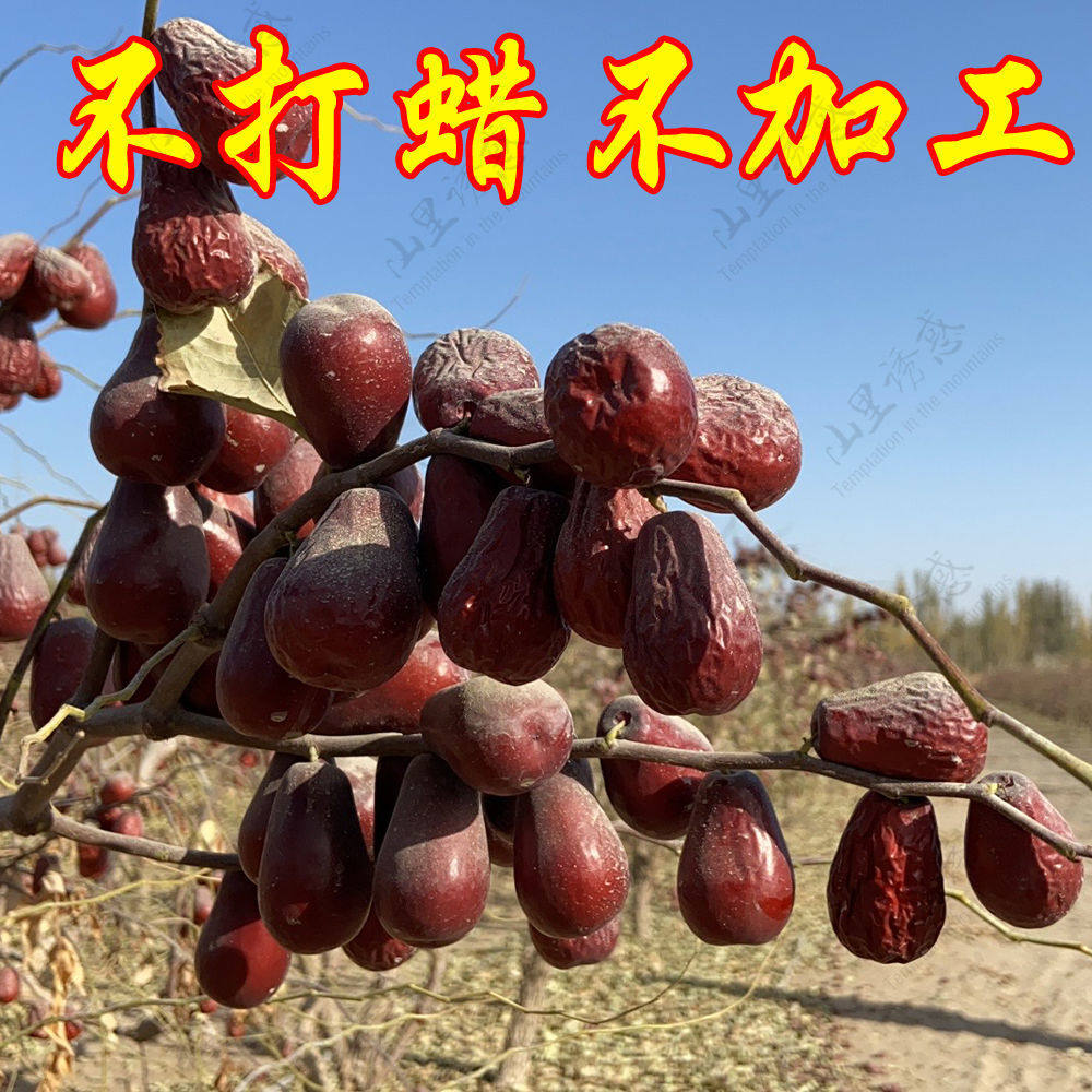 沙漠玉珠25年新货新疆和田大枣特产原生态未清洗红枣骏枣5斤吊干,零食/坚果/特产,枣类制品,淘宝优惠券,粉丝福利购,淘宝优惠卷