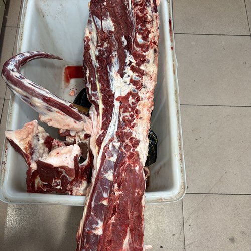 【牛蝎子满肉的5斤】保温箱冰袋发货