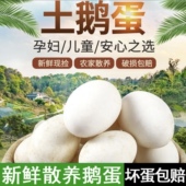 鹅蛋东北农家散养土鹅蛋孕妇宝宝老人放心食用