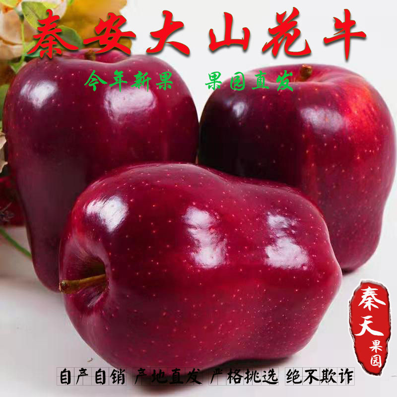 甘肃天水花牛正宗秦安大山红星苹果新鲜水果当季整箱脆甜刮泥粉面,水产肉类/新鲜蔬果/熟食,苹果,淘宝优惠券,粉丝福利购,淘宝优惠卷