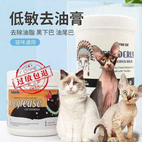 德文无毛猫咪化油膏去尾巴黑下巴