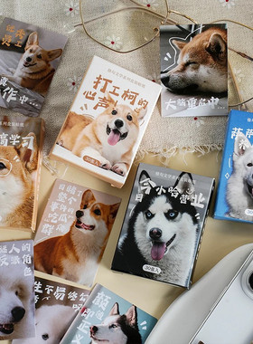 4盒ins风可爱超萌宠二哈狗狗动物贴纸diy手帐成长相册装饰素材贴