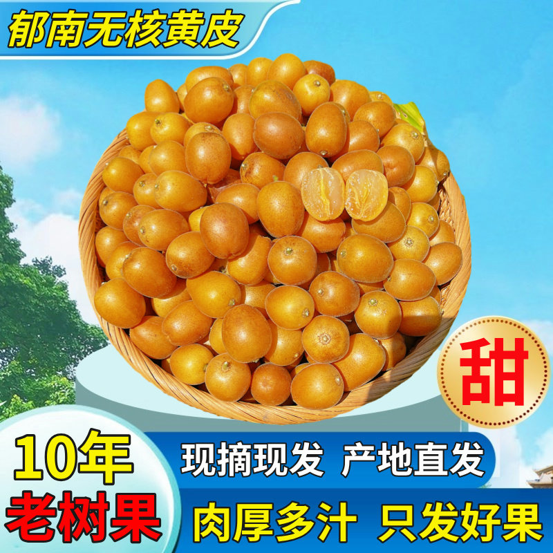 广东郁南现摘无核冰糖黄皮果