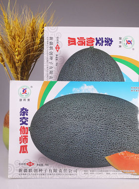 杂交伽师瓜种子正宗哈密瓜种籽甜瓜良种网纹瓜桔色瓤甜原装货