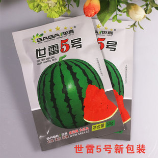 世雷5号西瓜种子特大地雷王京欣四季水果种子糖度高红心中晚熟甜