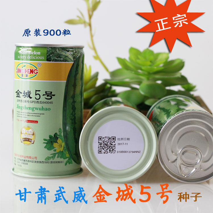 正宗金城五号西瓜种子特大国产甘肃压砂瓜红瓤高产耐旱春季简单播