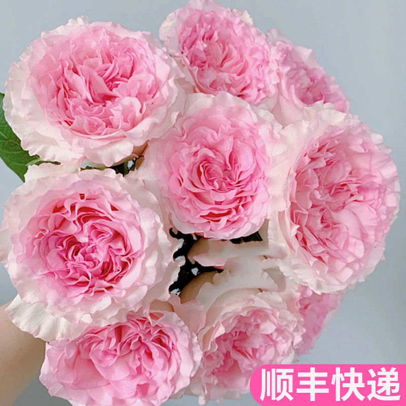 洛神客厅鲜花基地直发