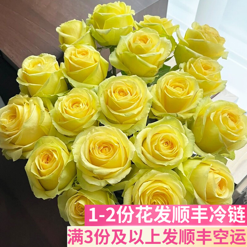 黄玫瑰鲜花鲜切花云南基地直发图片