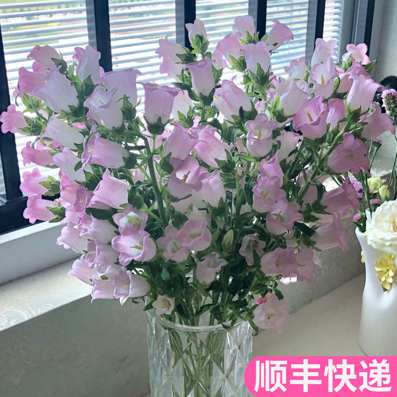 风铃草云南斗南鲜花基地直发昆明花卉市场批鲜切花发花市顺丰铃铛
