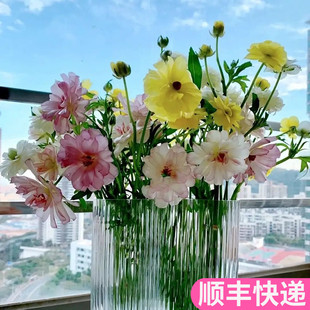 蝴蝶洋牡丹珠光毛茛斗南鲜花基地直发昆明花卉市场顺丰批鲜切花发