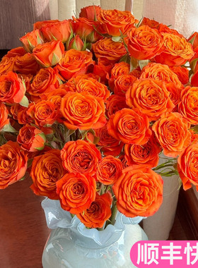 橙色芭比多头玫瑰泡泡斗南鲜花基地直发花卉市场批切花发插花送礼