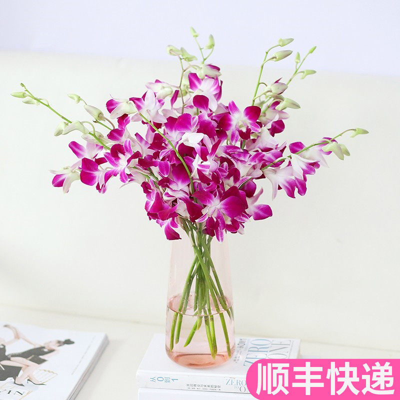 泰国进口紫色洋兰花串云南昆明斗南鲜花基地直发花束家用真花水养