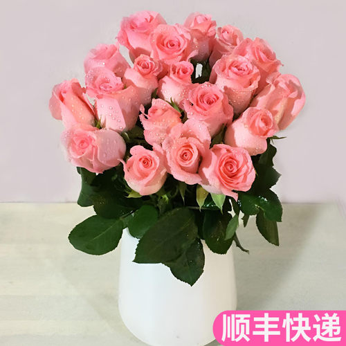 粉色戴安娜玫瑰花婚庆婚礼适用