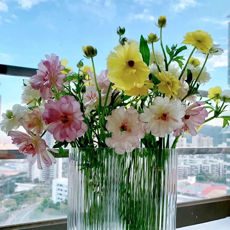 珠光蝴蝶洋牡丹鲜切花基地直发