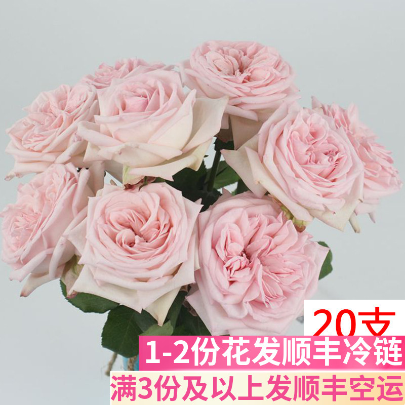 粉荔枝玫瑰鲜花基地直发
