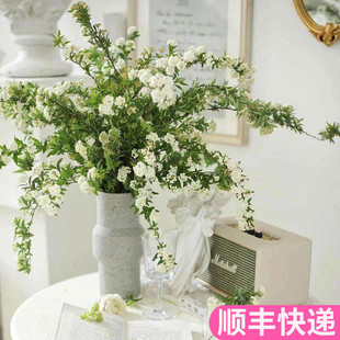 小手球鲜花单瓣鲜切客厅家用插花室内水养云南基地直发花卉鲜切枝