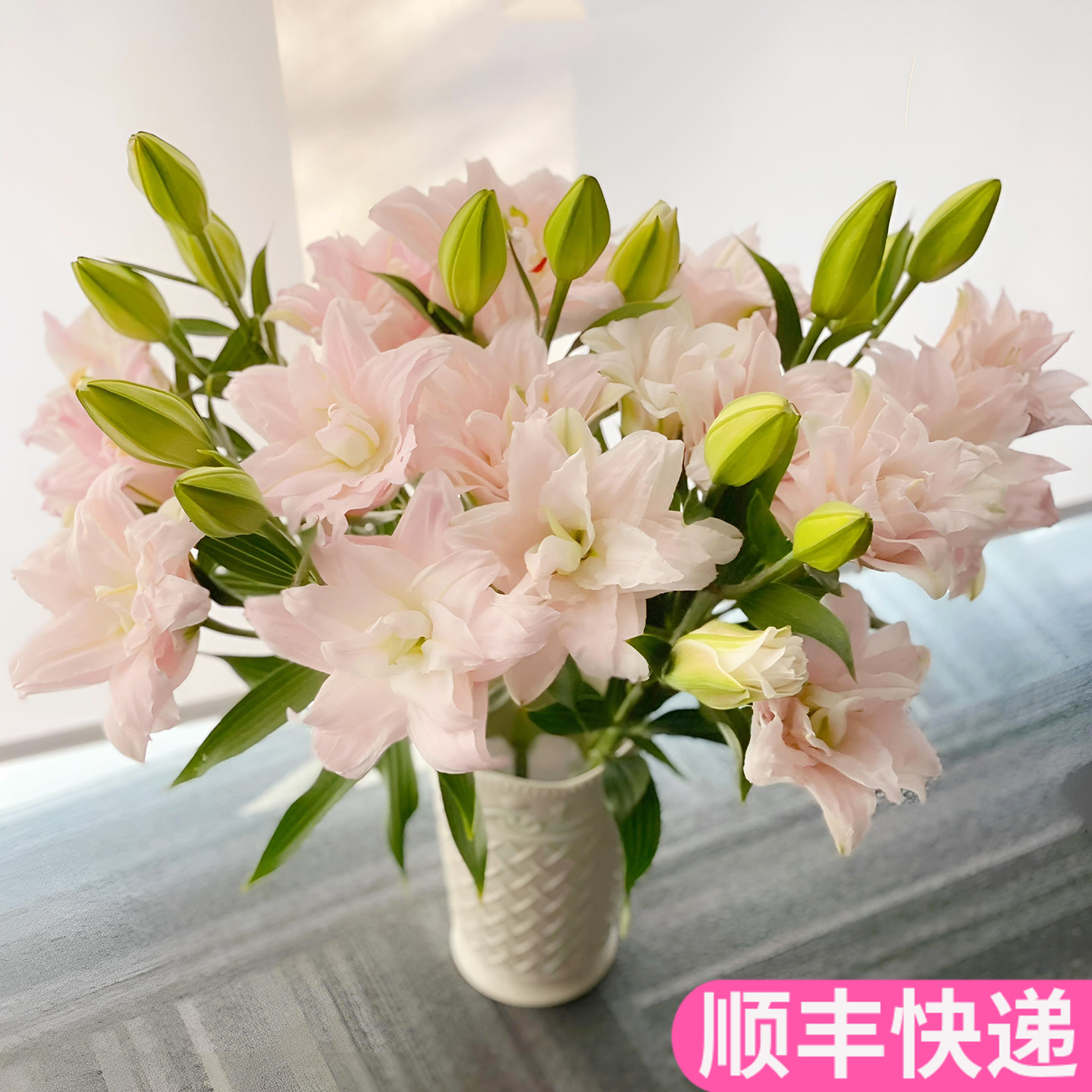 粉黛女神重瓣百合花浅粉色多瓣多层鲜切斗南鲜花基地直发花卉市场