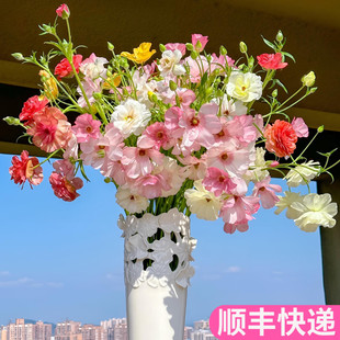 蝴蝶洋牡丹毛茛珠光家用客厅插花斗南鲜花基地直发花卉市场鲜切花