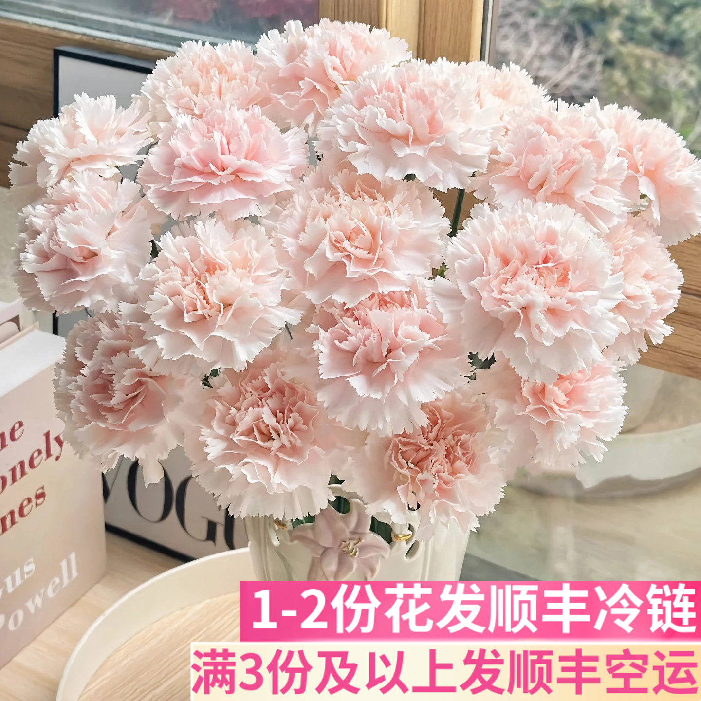 流光粉单头康乃馨鲜花斗南基地直发插花送礼