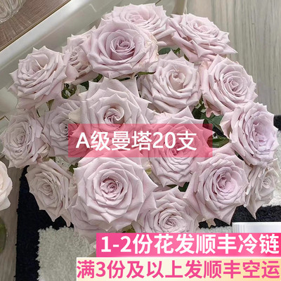 A级曼塔玫瑰花基地直发