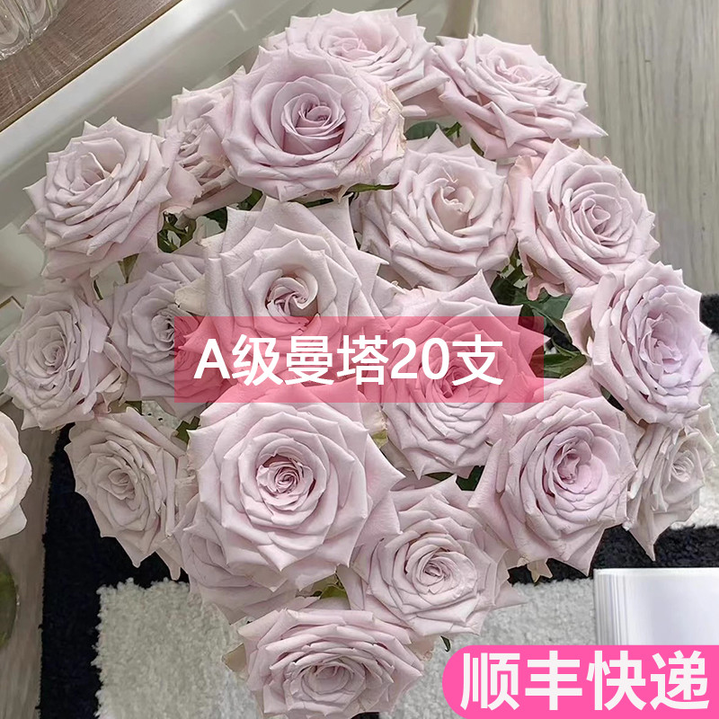 A级曼塔玫瑰花基地直发