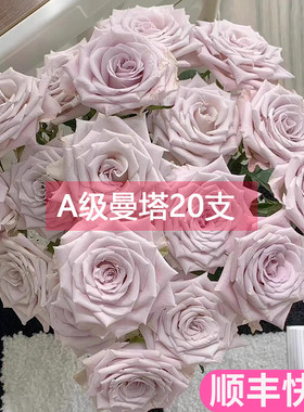 A级曼塔玫瑰花银灰色冷色调斗南鲜花基地直发花卉市场批鲜切发真