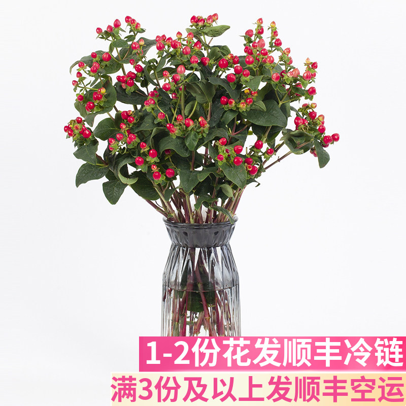 红豆客厅鲜花基地直发