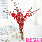 进口洋兰万代兰鲜切花云南斗南鲜花基地直发昆明花卉市场真花泰国