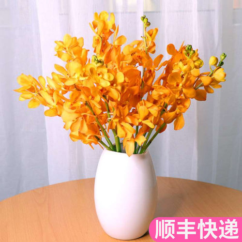 千代兰橙色客厅鲜花基地直发