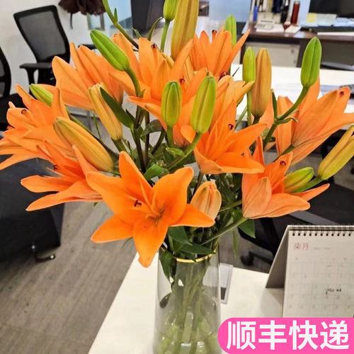 橙色亚百合鲜花客厅插花