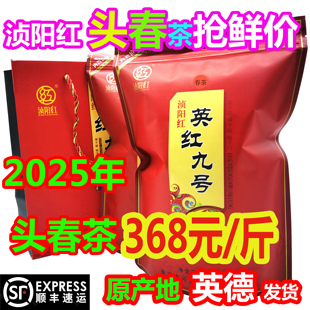 英红九号浈阳红金英九英德红茶袋装2025年头春新茶尝鲜价368元1斤