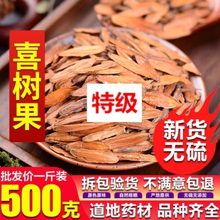 喜树果 中药材无硫新货天然纯新货喜树果千丈树水栗子天梓树500克
