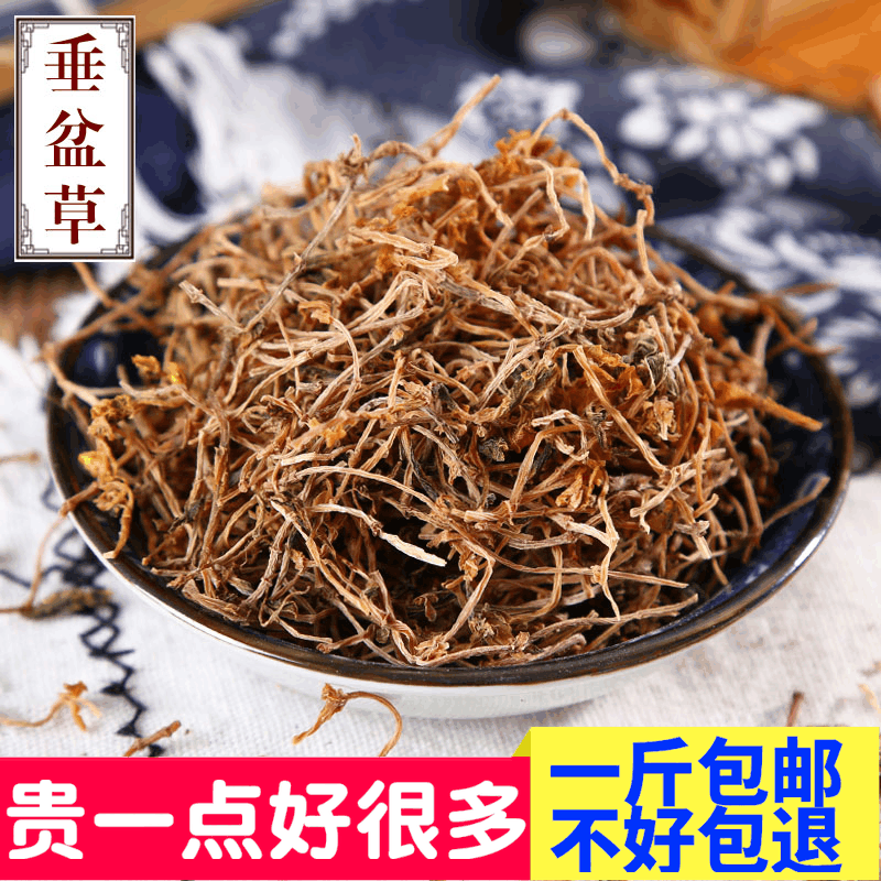 中药材 垂盆草 正宗垂盆草 新货价500g包邮精选中国