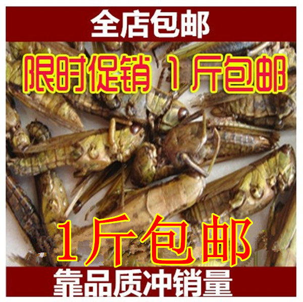 中药材蝗虫干 五谷虫干 蛐蛐干蝼蛄干鸟食蚂蚱干鸟饲料500g包邮