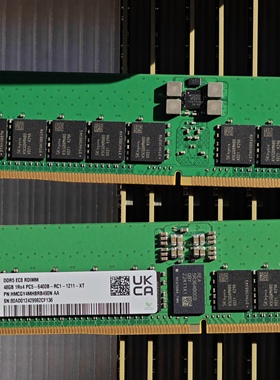 拆机 48G 16G DDR5 6400 服务器内存条REG ECC 原装镁光SK 6400b