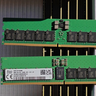 拆机 48G 16G DDR5 6400 服务器内存条REG ECC 原装镁光SK 6400b