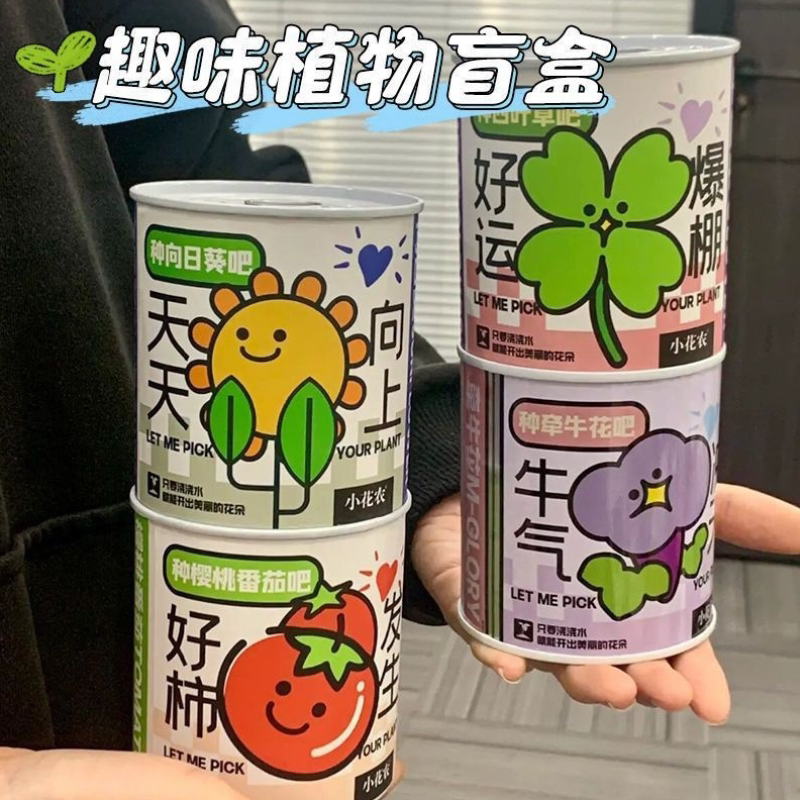 儿童植物罐头创意小盆栽栽培桌面桌面绿植