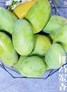 万茜同款农村小伙自家现货攀枝花椰香芒鸡蛋芒树上熟当季新鲜水果