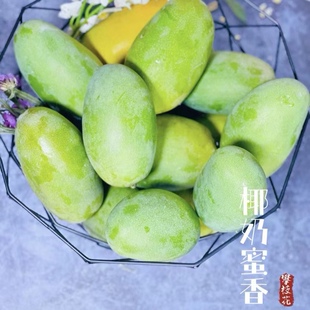 万茜同款农村小伙自家现货攀枝花椰香芒鸡蛋芒树上熟当季新鲜水果