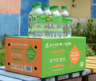 五大连池气泡泉天然五大冷冷矿泉水含气箱366x24瓶 包邮