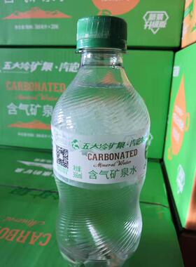 五大连池火山冷矿泉含气泡泉水整箱装药泉366ml*20瓶包邮