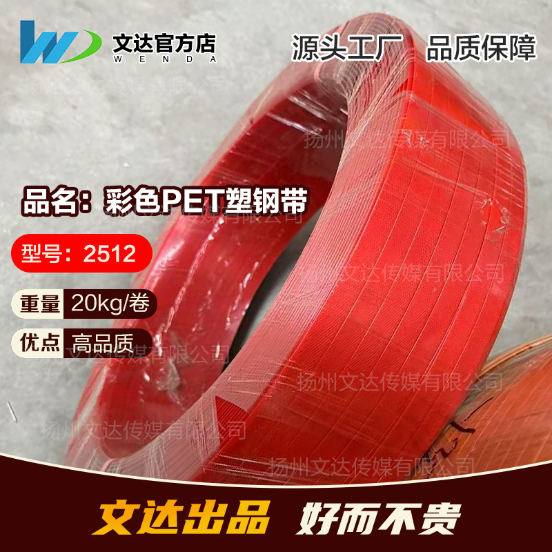 2512彩色塑钢带手工果盘灯笼