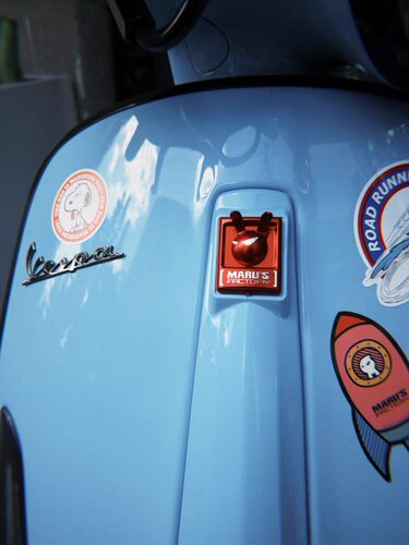 适用VESPA 全车系 GTS GTV300  春天 冲刺150改装 P牌 铭牌领带标
