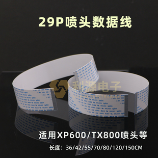 爱普生XP600喷头数据线 写真机喷头线 29芯排线 tx800扁平线29P