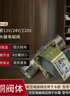湘君开水器有压电磁阀DC12V24V220V无压出水阀耐高温进水放水阀