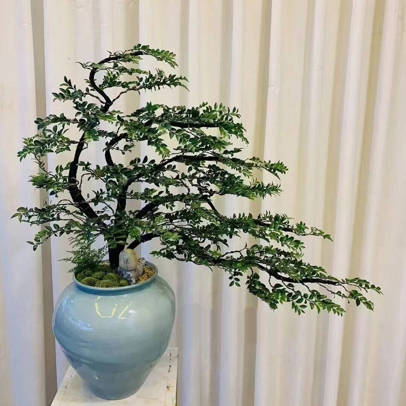 小叶紫檀盆景高档造型乔迁开业送礼盆栽送领导绿植室内客厅盆景